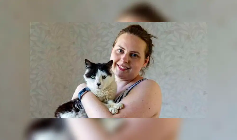 Mujer encontró a su gato Gucci que perdió hace más de una década en medio de una mudanza. Foto: 24 Horas