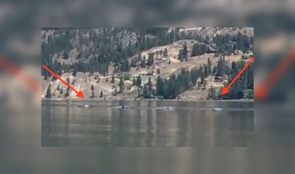 Miles quedaron impactados, luego de ver este video viral de YouTube grabado en Canadá. Foto: Captura.