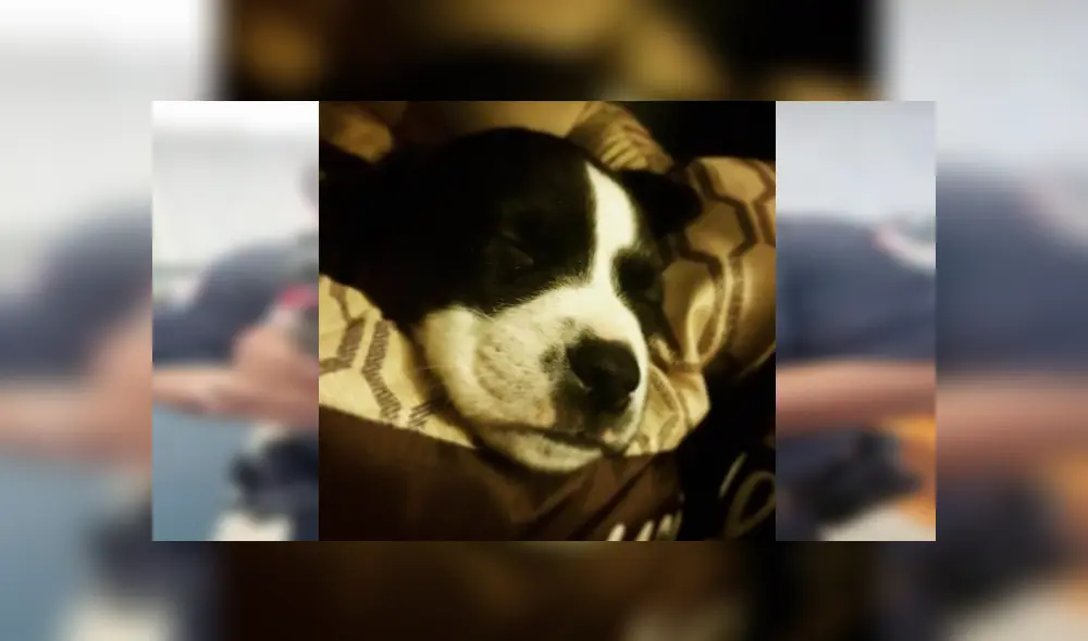 Desliza para ver las fotos que conmovieron a miles en Facebook. Foto: Captura.