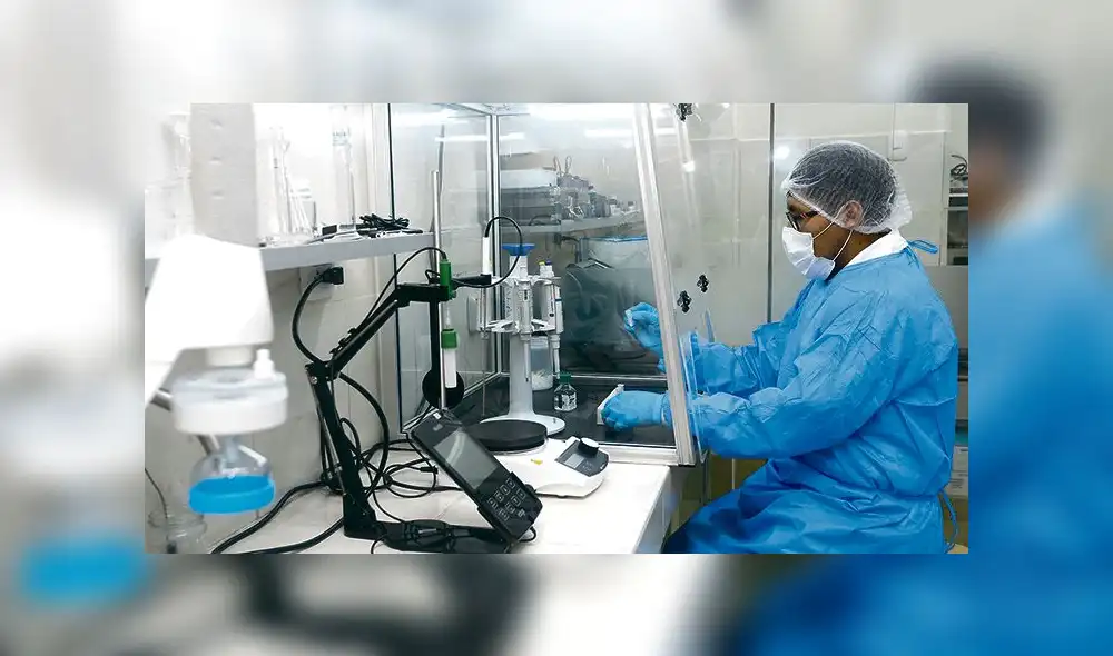 LABORATORIO BIOLOGIA UNSA - CORONAVIRUS
LABORATORIO BIOLOGIA UNSA - CORONAVIRUS