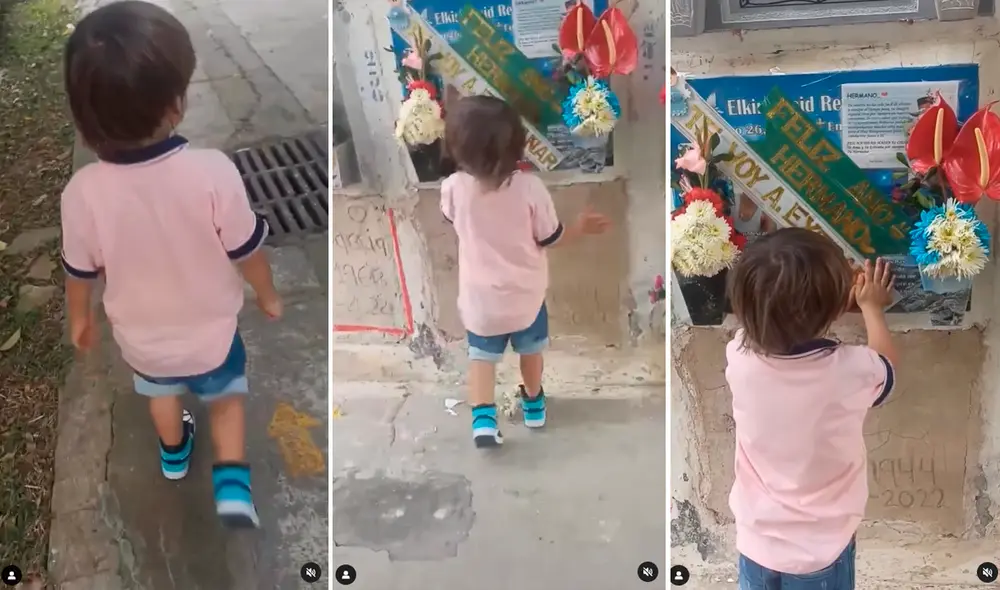 Las imágenes conmovieron los corazones de miles en redes sociales. Foto: composición de LR/captura de TikTok/@Elavisperodebucaramanga Las imágenes conmovieron los corazones de miles en redes sociales. Foto: composición de LR/captura de TikTok/@Elavisperodebucaramanga