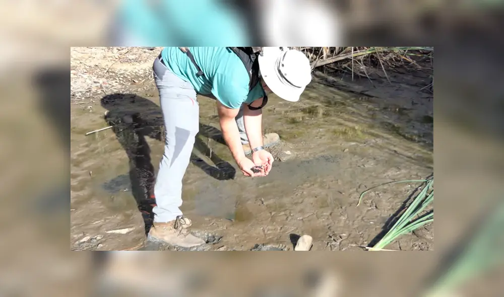 Desliza para ver los momentos más impactantes del video que se hizo viral en YouTube. Desliza para ver los momentos más impactantes del video que se hizo viral en YouTube.