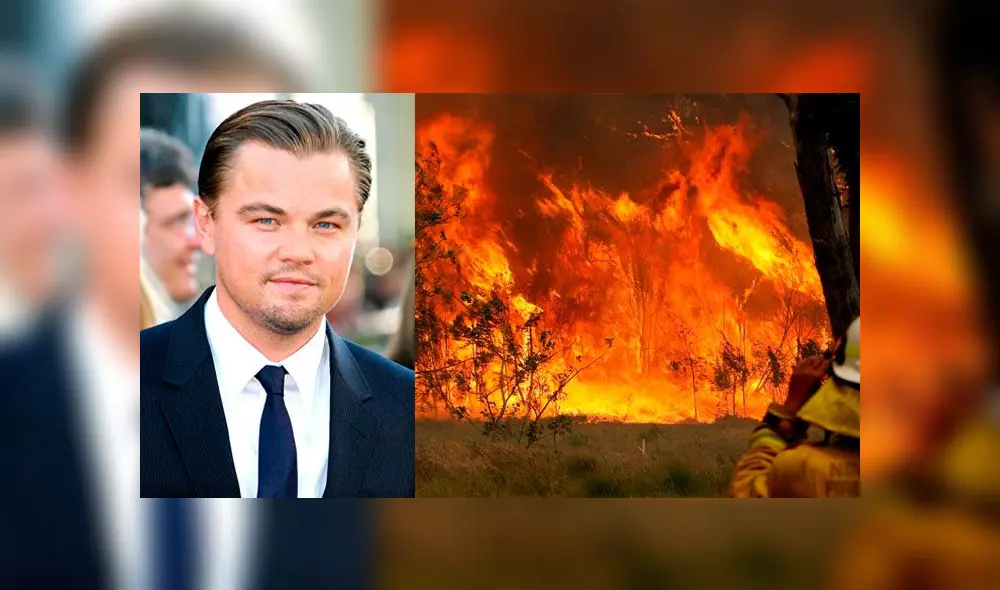 Leonardo DiCaprio Leonardo DiCaprio