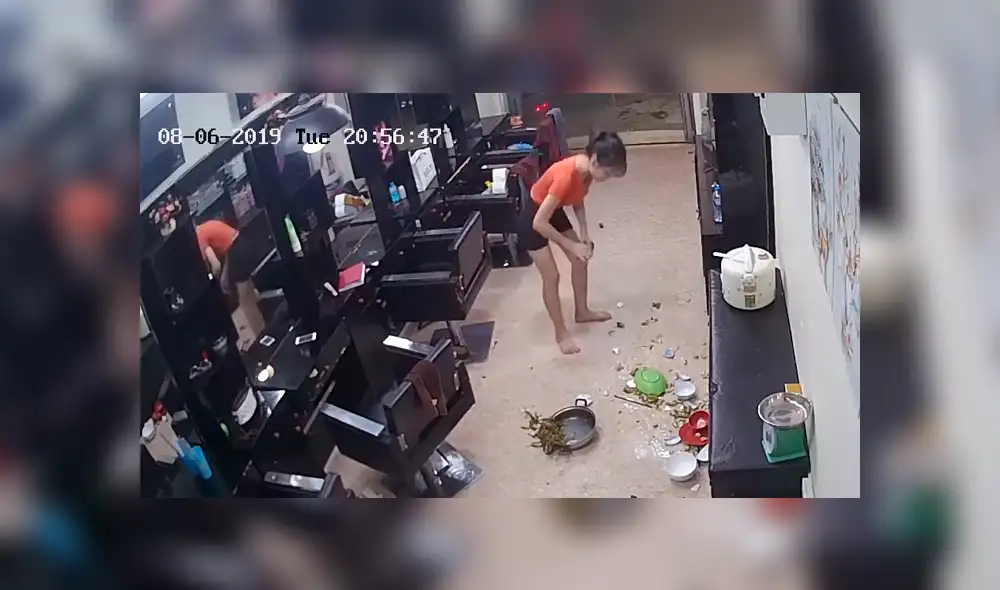 Facebook viral: peluquera se queda sin comida por la culpa de travieso perro y no lo puede creer [VIDEO] 