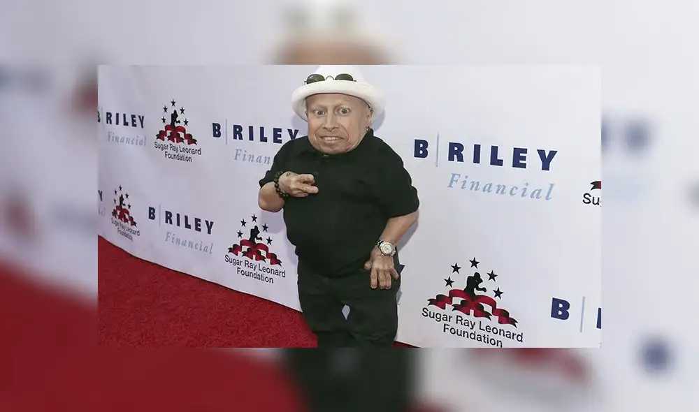 Stan Lee, Stephen Hawking, Mac Miller y otras figuras que nos dejaron en el año 2018