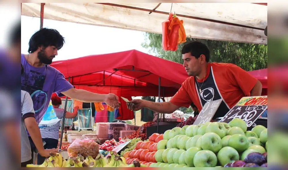 El Ingreso Familiar de Emergencia es una de las medidas establecidas por el Gobierno de Chile para garantizar el bienestar de los hogares más vulnerables. (Foto: INE) El Ingreso Familiar de Emergencia es una de las medidas establecidas por el Gobierno de Chile para garantizar el bienestar de los hogares más vulnerables. (Foto: INE)