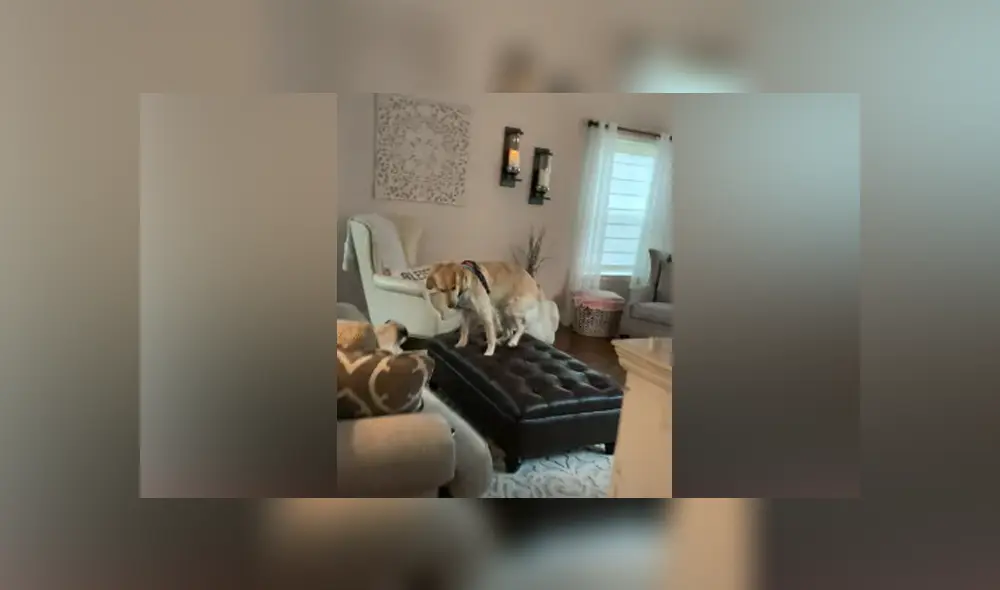 Desliza hacia la izquierda para ver las imágenes del viral de Facebook.