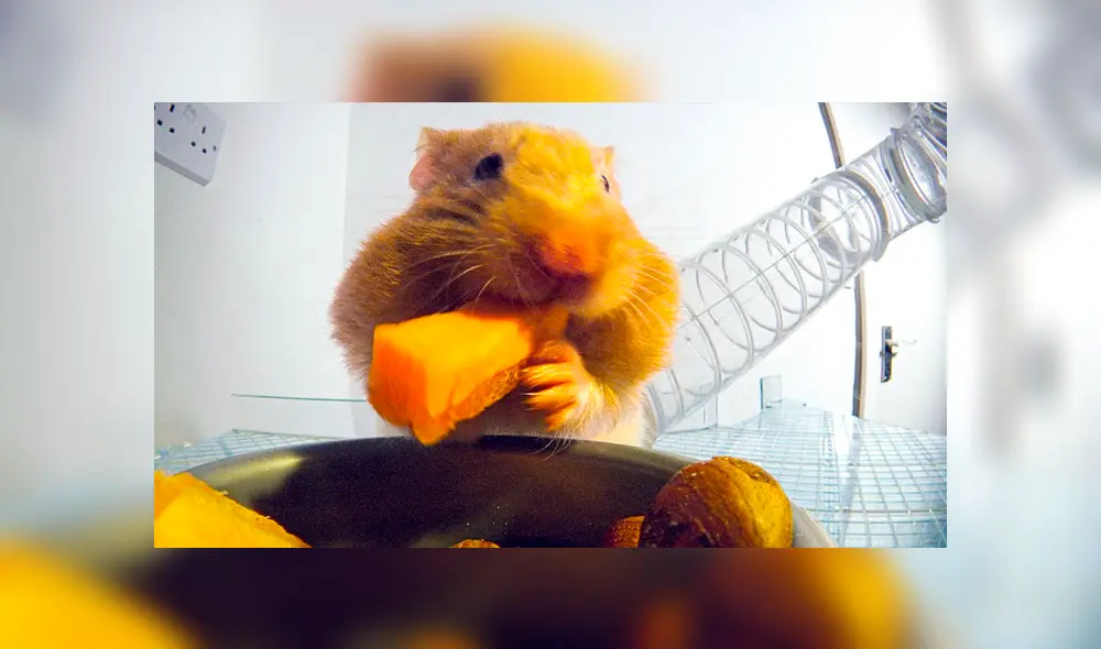 Desliza hacia la izquierda para ver las imágenes del video viral de Facebook.