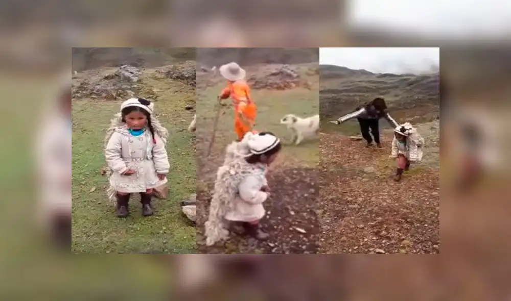 La escenografía fue una zona altoandina de la zona norte de la región de Puno. La escenografía fue una zona altoandina de la zona norte de la región de Puno.