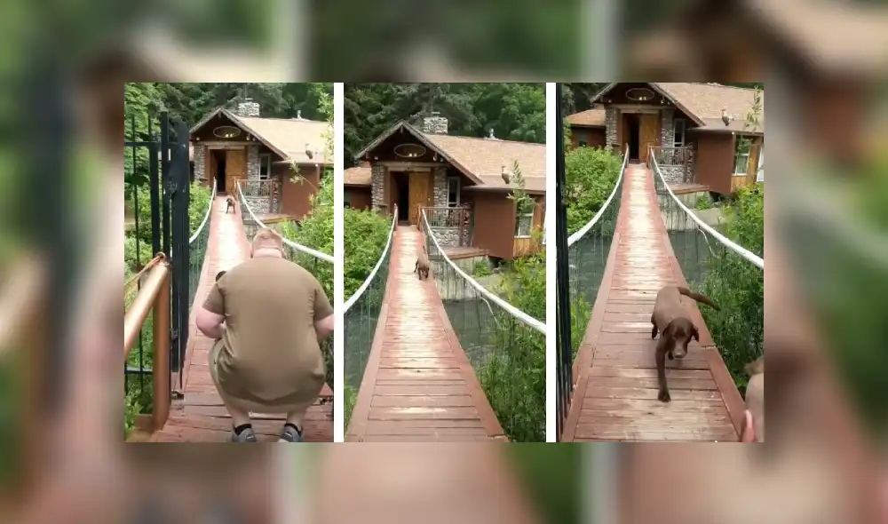 Desliza las imágenes hacia la izquierda para apreciar la valiente acción de un perro tras superar su mayor miedo. Fotocaptura: Facebook.