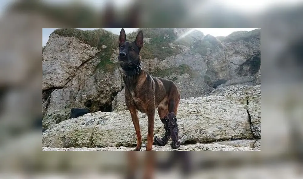 A health worker stops motorists to take swab samples for testing for the Covid-19 coronavirus at a testing camp in a residential area, in Chennai on August 30, 2020. - India on August 30 set a coronavirus record when it reported 78,761 new infections in 24 hours -- the world's highest single-day rise -- even as it continued to open up the economy. (Photo by Arun SANKAR / AFP) A health worker stops motorists to take swab samples for testing for the Covid-19 coronavirus at a testing camp in a residential area, in Chennai on August 30, 2020. - India on August 30 set a coronavirus record when it reported 78,761 new infections in 24 hours -- the world's highest single-day rise -- even as it continued to open up the economy. (Photo by Arun SANKAR / AFP)