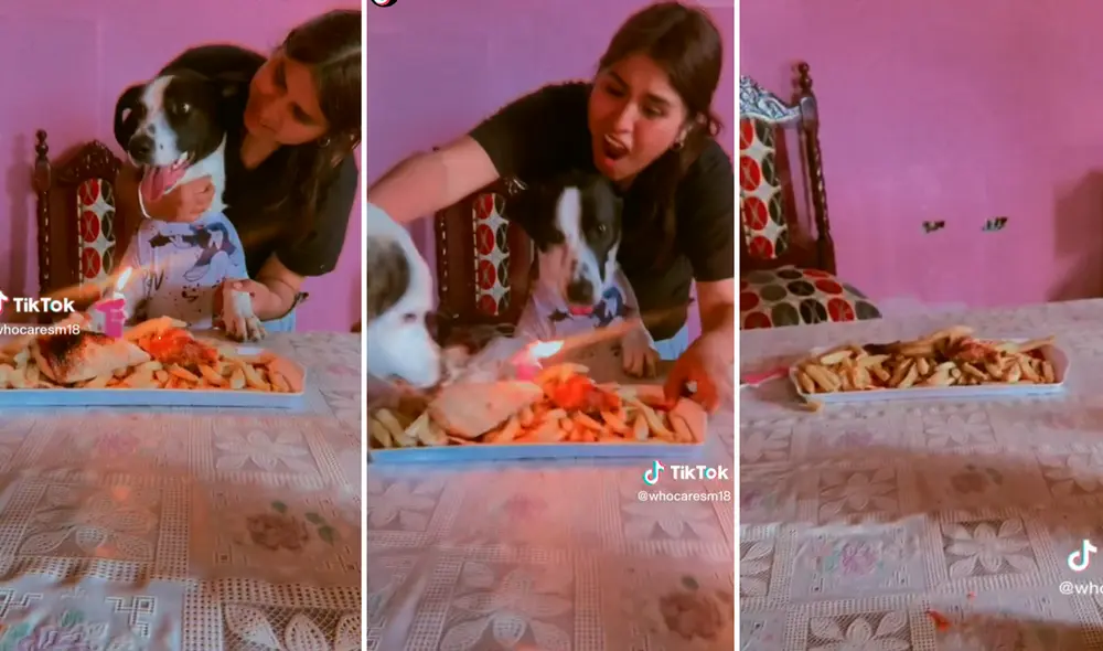 Las imágenes sacaron miles de sonrisas a los usuarios en redes sociales. Foto: composición La República/captura de TikTok/@Whocaresm18 Las imágenes sacaron miles de sonrisas a los usuarios en redes sociales. Foto: composición La República/captura de TikTok/@Whocaresm18