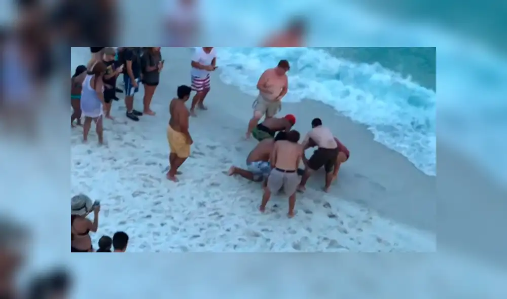 YouTube viral: tiburón martillo fue ayudado por bañistas que lo regresaron al mar [VIDEO]