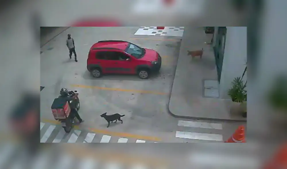 Desliza para ver el desenlace de este viral de YouTube. Foto: Captura. Desliza para ver el desenlace de este viral de YouTube. Foto: Captura.