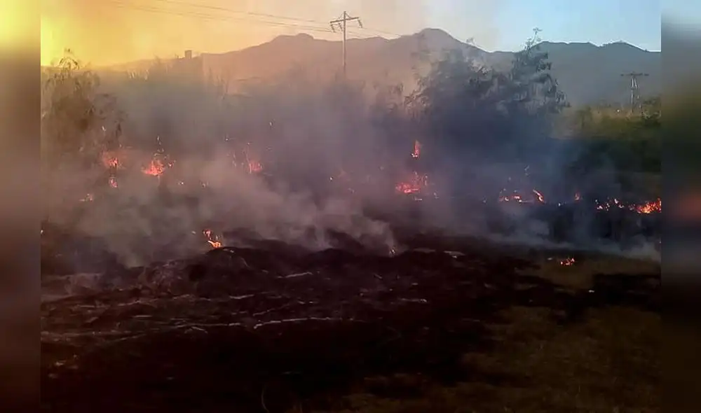 Fiscalía venezolana eleva a los 11 muertos en un incendio, 9 de ellos menores. Foto: EFE. Fiscalía venezolana eleva a los 11 muertos en un incendio, 9 de ellos menores. Foto: EFE.
