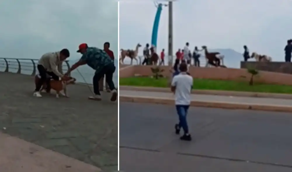 Hecho se registró el 25 de diciembre. Foto: captura/Chimbote Áncash en la Noticia