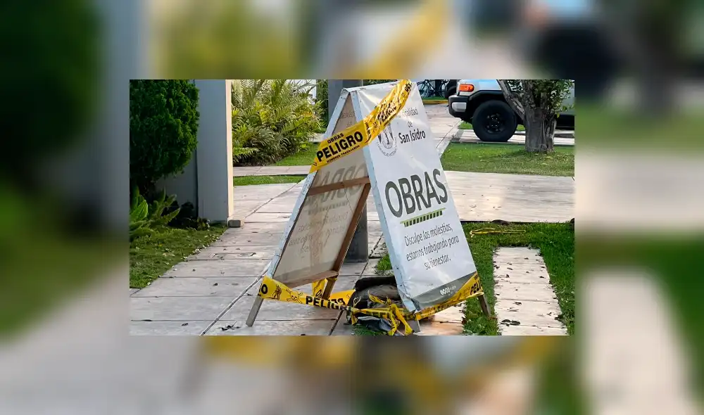 Las palomas no son un reservorio por excelencia del virus, ya que son más resistentes que las aves silvestres y las aves de corral. Foto: Raúl Egúsquiza / URPI - LR