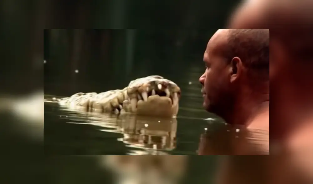YouTube viral: valiente hombre intenta nadar junto a cocodrilo, sin imaginar la feroz reacción del depredador YouTube viral: valiente hombre intenta nadar junto a cocodrilo, sin imaginar la feroz reacción del depredador