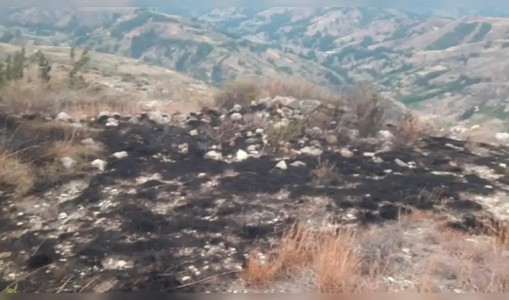Incendio forestal arrasa hectáreas de zona arqueológica.