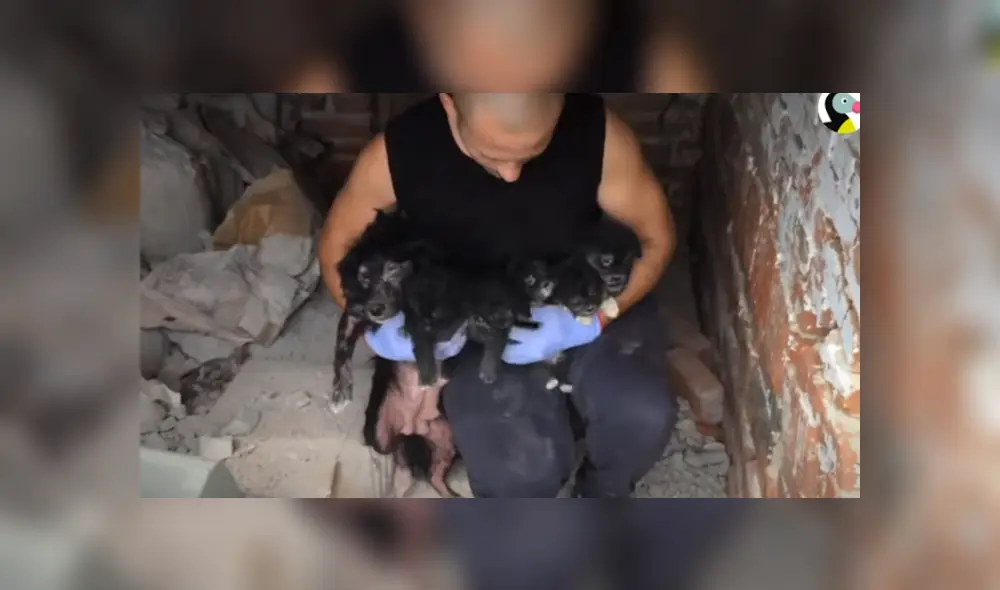 Desliza hacia la izquierda para ver las imágenes del viral de YouTube. Foto: Captura.