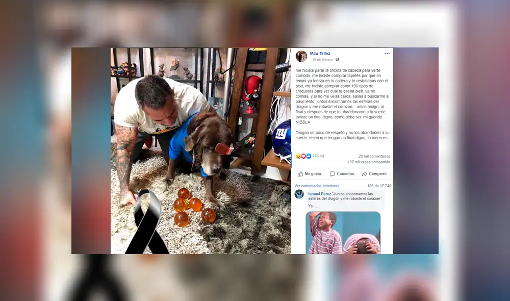 Facebook viral: fan de Dragon Ball Super se despide de su mascota con emotivo mensaje