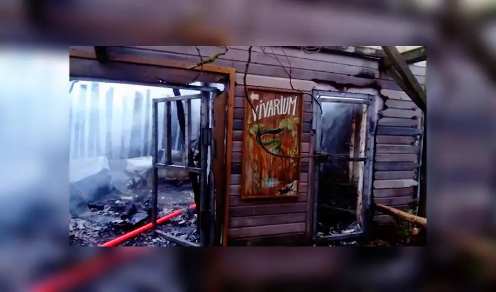 Facebook: Zoo de La Flèche.