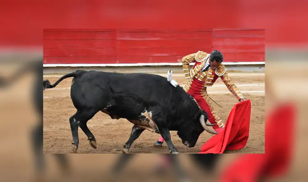 TC debatirá demanda contra corrida de toros. TC debatirá demanda contra corrida de toros.