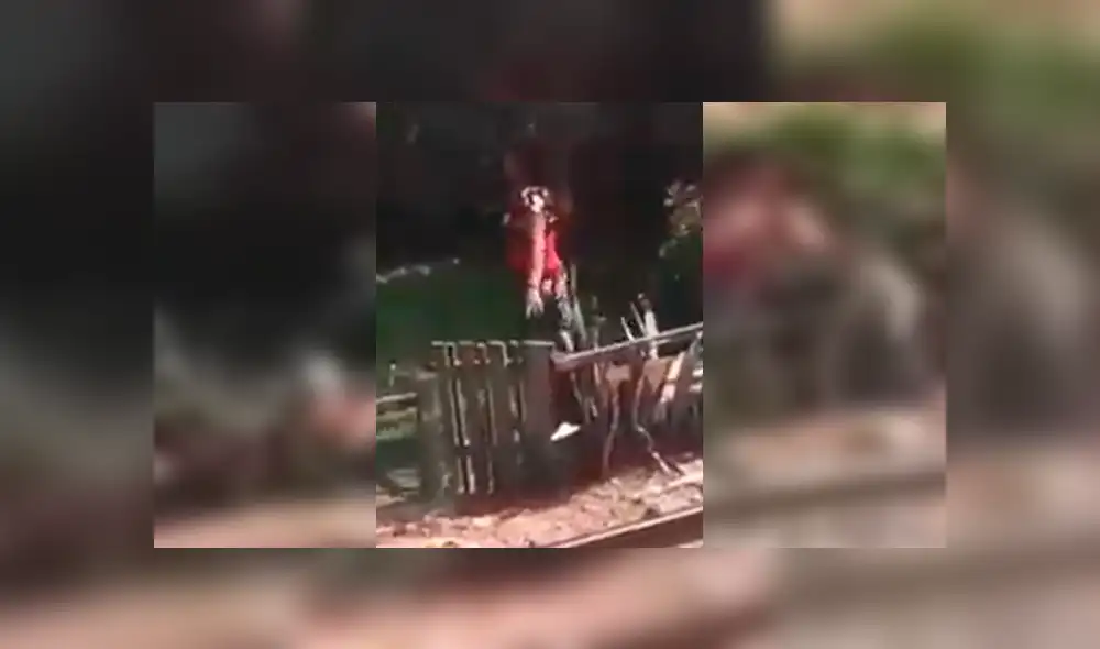 La mujer golpeó cruelmente al animal. Foto: Captura Facebook La mujer golpeó cruelmente al animal. Foto: Captura Facebook