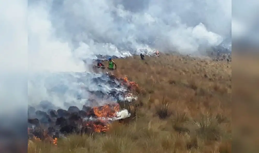 Apurímac: Voraz incendio consume Santuario Nacional de Ampay Apurímac: Voraz incendio consume Santuario Nacional de Ampay