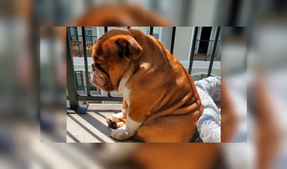 Desliza la imagen de Facebook para verlas todas.