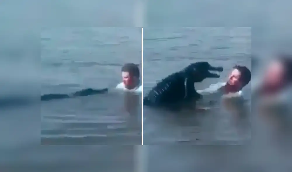 YouTube viral: temible caimán se acerca a un hombre y él tiene esta asombrosa reacción [VIDEO]