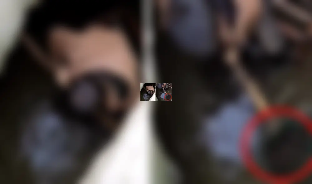 Facebook viral: Niño entra a pozo y descubre 'aterradoras' criaturas que sorprenden a miles [VIDEO]