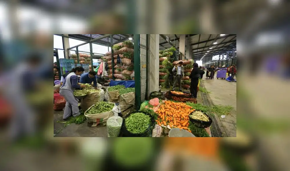 Paro de transportistas: Mercado Mayorista de Lima descarta desabastecimiento