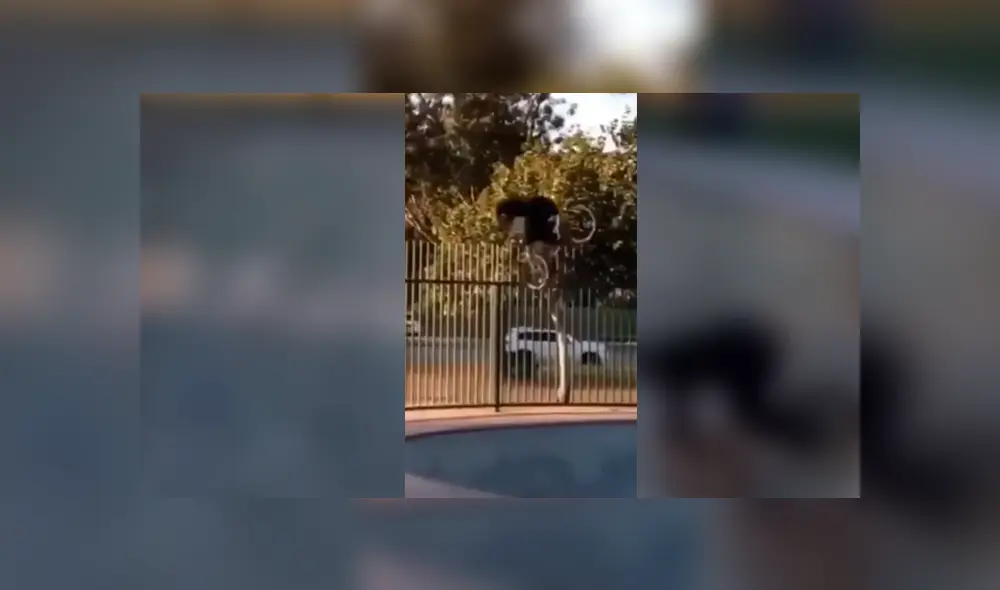 Facebook viral: joven intenta realizar complicada maniobra en bicicleta y sufre terrible accidente con final inesperado