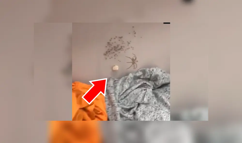 #VIDEO | Mira las mejores imágenes del video viral de YouTube. Desliza para verlas todas. Foto: captura #VIDEO | Mira las mejores imágenes del video viral de YouTube. Desliza para verlas todas. Foto: captura