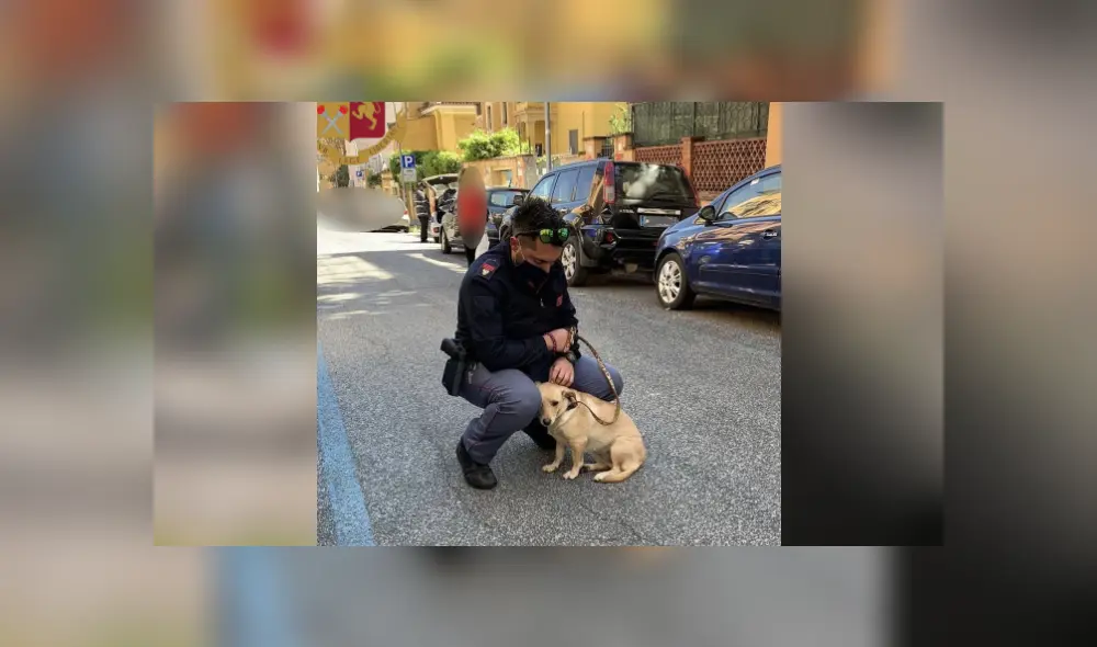 Desliza para ver más fotos de este noble gesto de un policía hacia una perrita que fue abandonada. (Foto: Facebook / Questura di Roma)