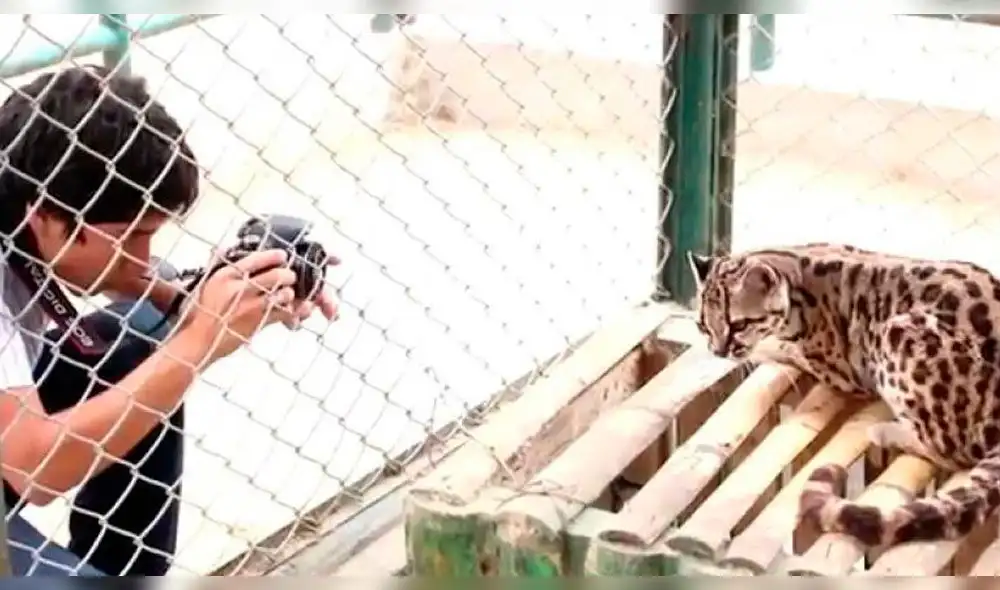 Piura: celebran inicio de la primavera con actividades en parque ecológico 