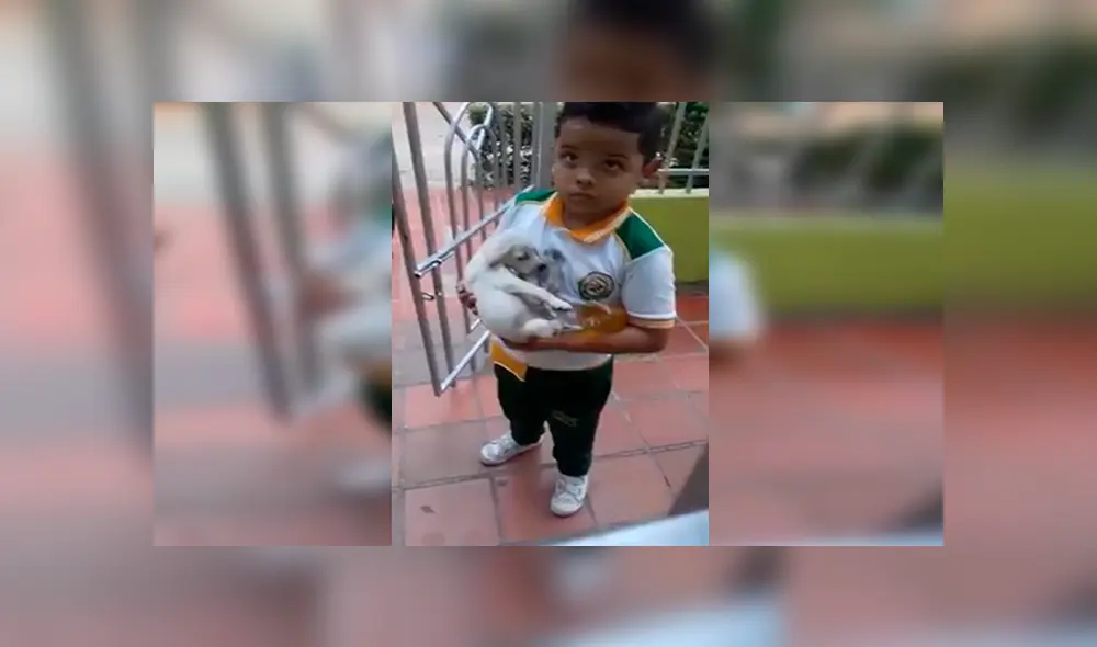 En Facebook, una señora mandó a su hijo a comprar a la tienda y él regresó con un indefenso cachorro.