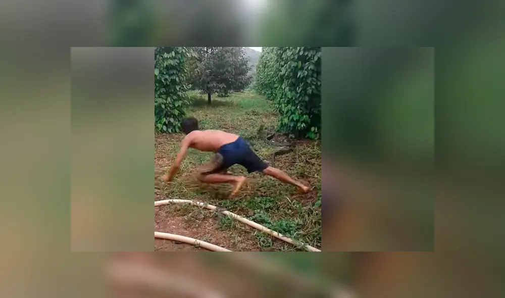 Vía YouTube. Hombre se enfrasco en un impactante enfrentamiento con la enorme serpiente mientras que esta intentaba atacarlo
