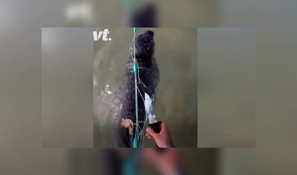 Desliza para ver los momentos más impactantes del video que se hizo viral en Facebook. Desliza para ver los momentos más impactantes del video que se hizo viral en Facebook.