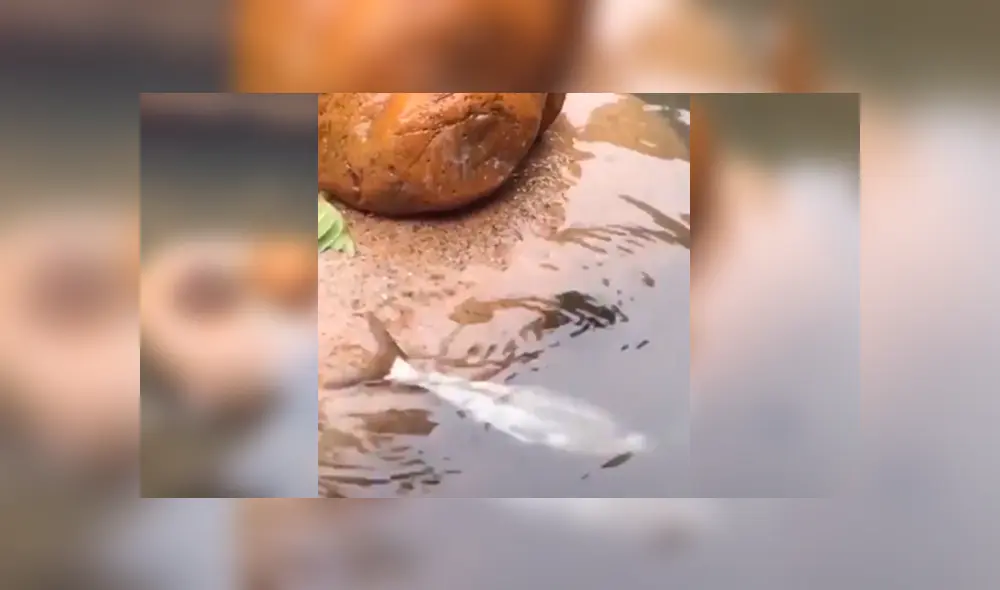 Desliza para ver el desenlace de este video viral de Facebook. Foto: Captura. Desliza para ver el desenlace de este video viral de Facebook. Foto: Captura.