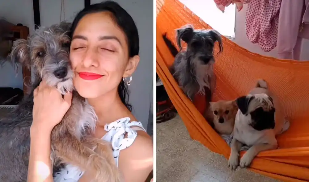 Desliza las imágenes para conocer el tierno gesto que tuvo una joven al hacerse unos tatuajes inspirados en sus perros. Foto: captura de Facebook