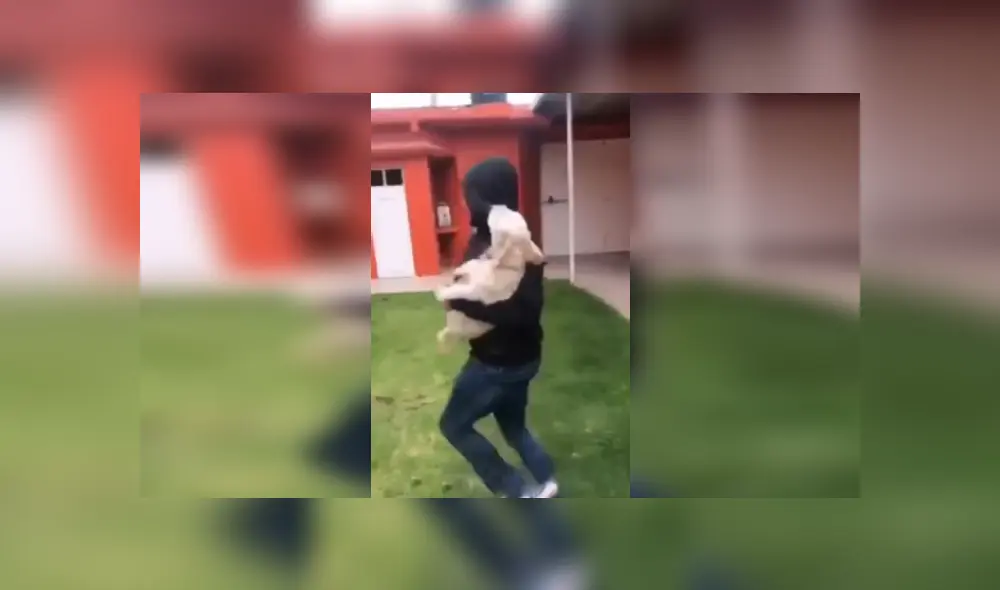 Desliza las imágenes para conocer el comportamiento de un perro tras obedecer las indicaciones de su dueña. Fotocaptura: Facebook. Desliza las imágenes para conocer el comportamiento de un perro tras obedecer las indicaciones de su dueña. Fotocaptura: Facebook.