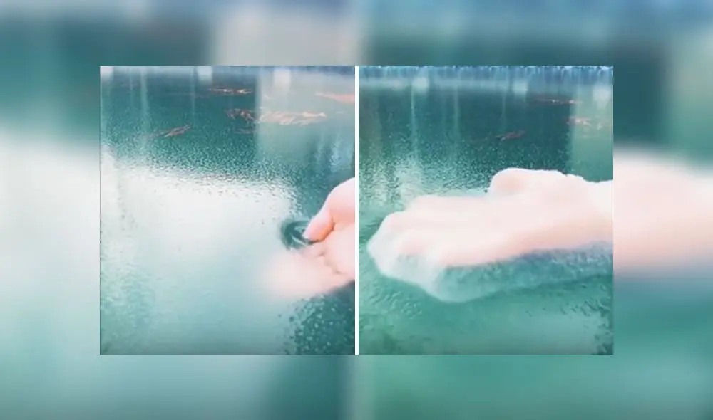 Desliza para conocer el fenómeno natural que se ha vuelto viral en redes. Foto: Captura. Desliza para conocer el fenómeno natural que se ha vuelto viral en redes. Foto: Captura.