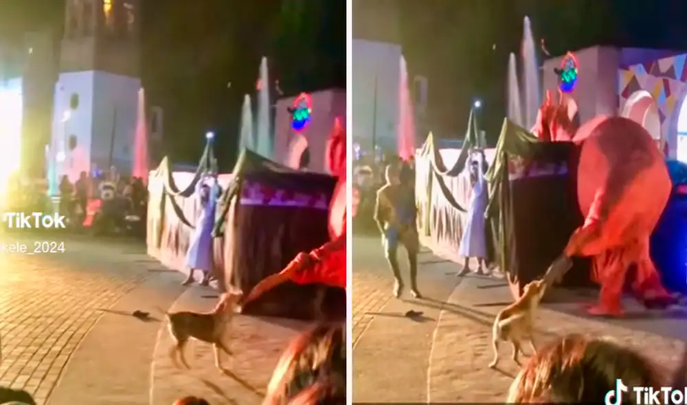 Las imágenes sacaron miles de sonrisas y más de uno aplaudió la actuación de Firulais. Foto: composición de LR/captura de TikTok/@Bukele2024 Las imágenes sacaron miles de sonrisas y más de uno aplaudió la actuación de Firulais. Foto: composición de LR/captura de TikTok/@Bukele2024