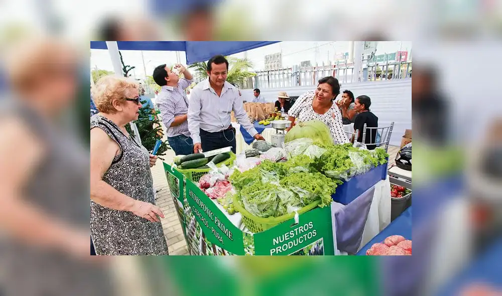 Falta de asociatividad limita el despegue de productos orgánicos