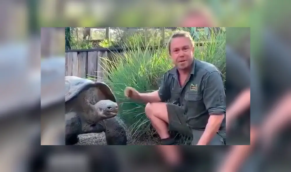 Turistas graban gigantesca tortuga junto a su cuidador.