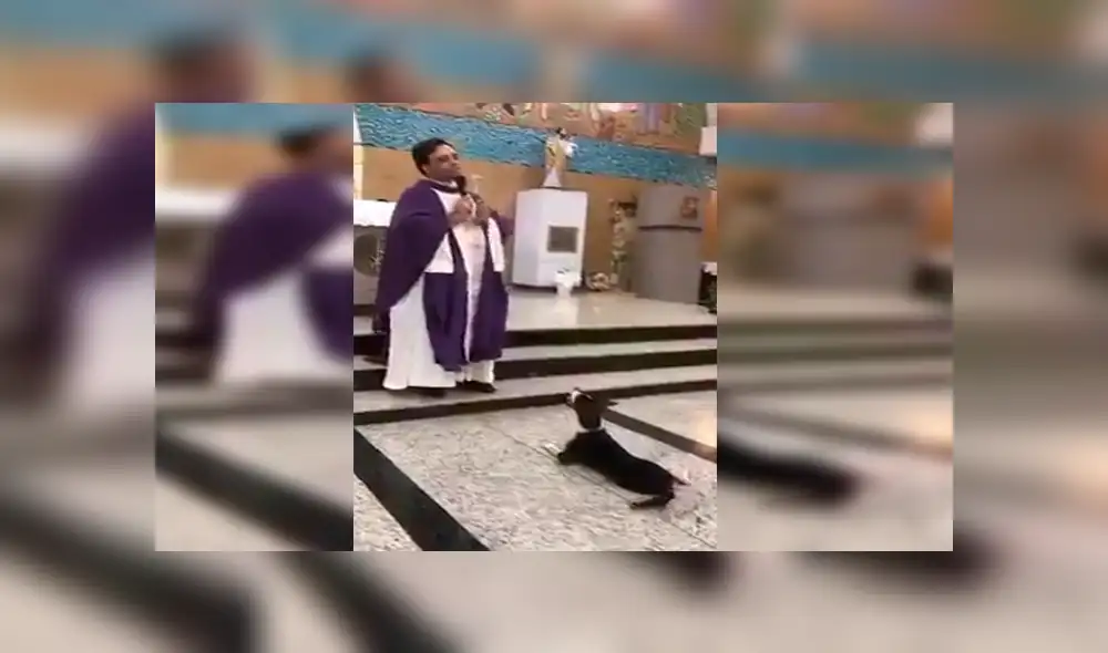 Facebook: perro sorprende al escuchar atento misa que ofrecía un sacerdote dentro de iglesia [VIDEO]