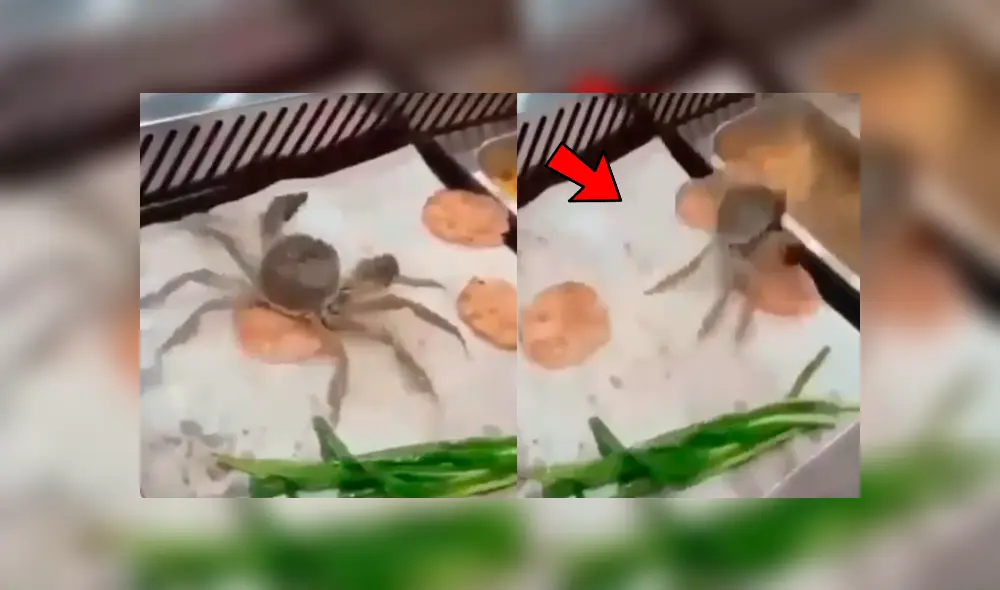 Facebook viral: cangrejo intenta escapar de cocinero y sin querer cae a la olla hirviendo Facebook viral: cangrejo intenta escapar de cocinero y sin querer cae a la olla hirviendo