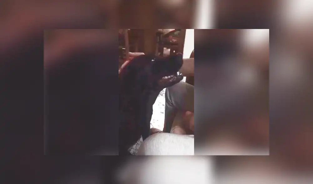 Desliza las imágenes para conocer la emotiva escena protagonizada por un perro junto a su dueño. Foto: Captura. Desliza las imágenes para conocer la emotiva escena protagonizada por un perro junto a su dueño. Foto: Captura.